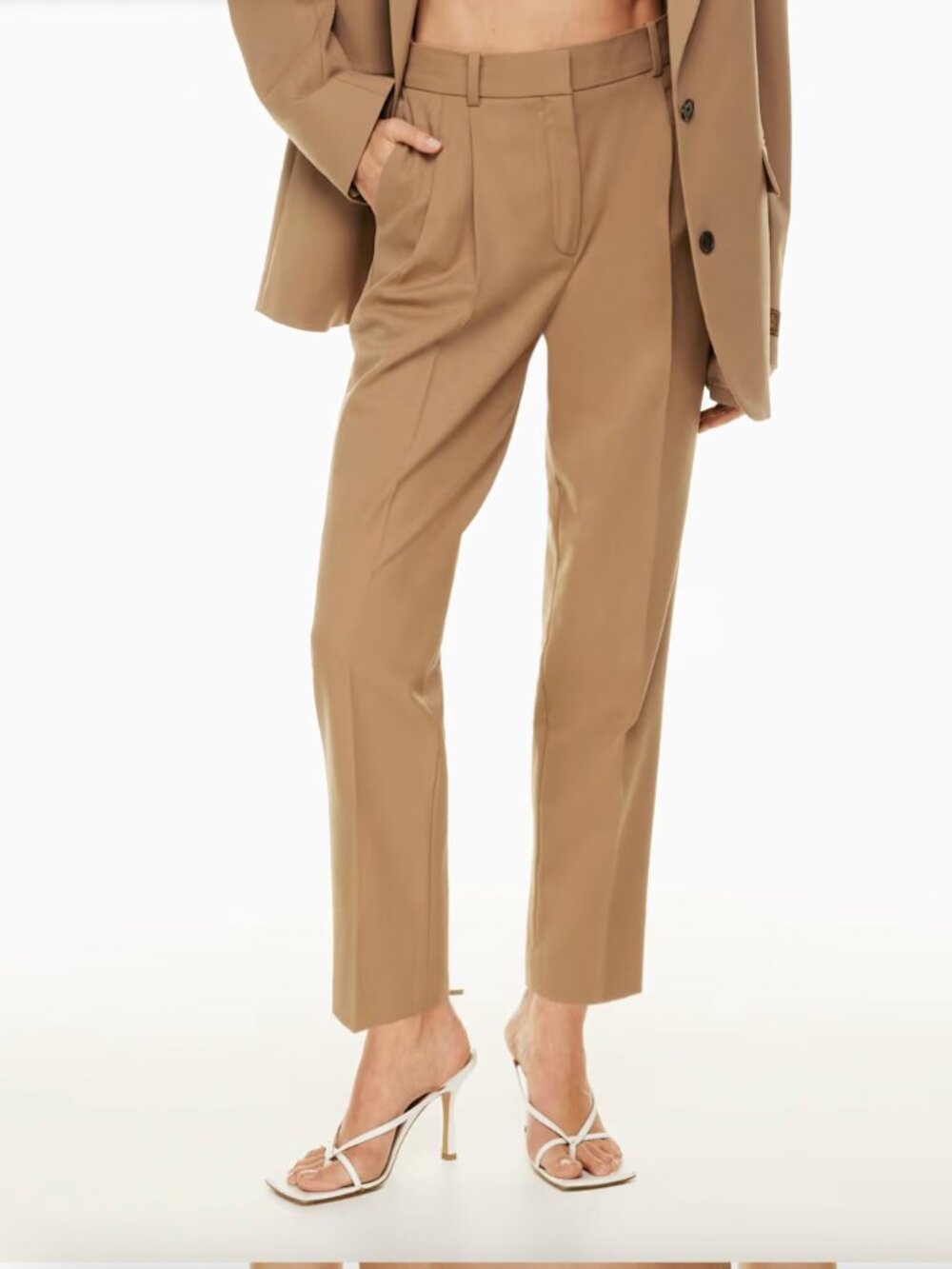 Babaton Aritzia Vogue pants pleated beige cream 8 - Picture 8 of 8